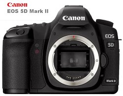 Digitalkamera Kaufratgeber, Kamera Vergleich Testbericht/Bilder Canon eos 5d mark II