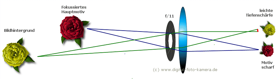 foto: tiefenschrfe blende 11