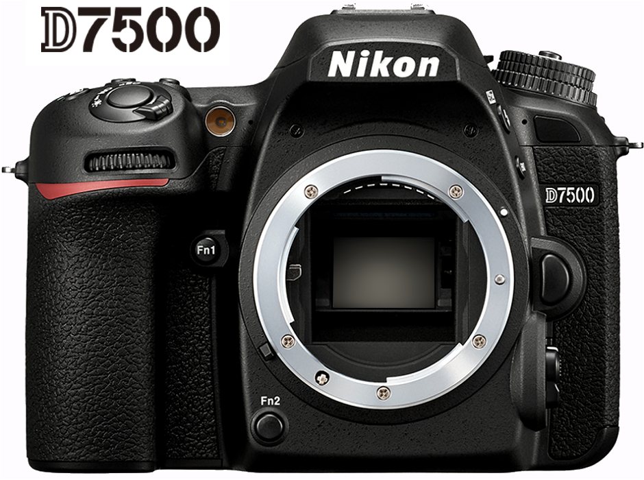 Nikon D7500 Kamerabody