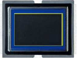 Bild: CANON EOS 1D-X Full-Frame Sensor 