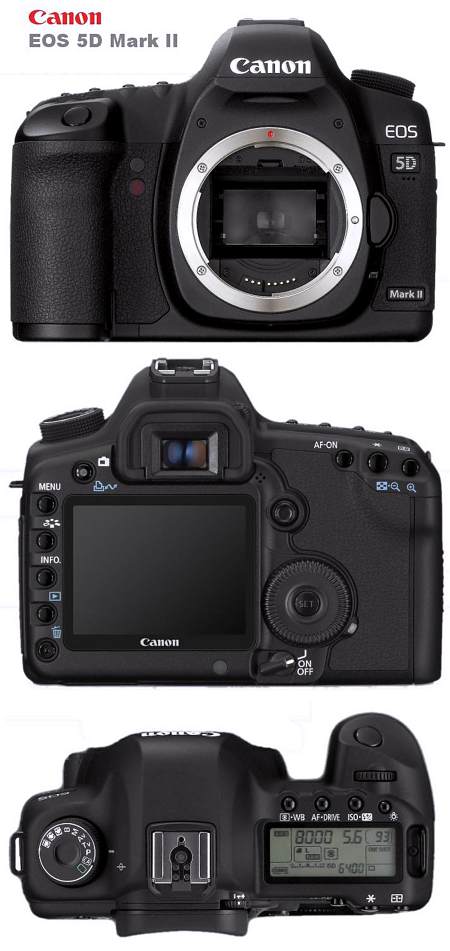 Foto: CANON 5d mark II