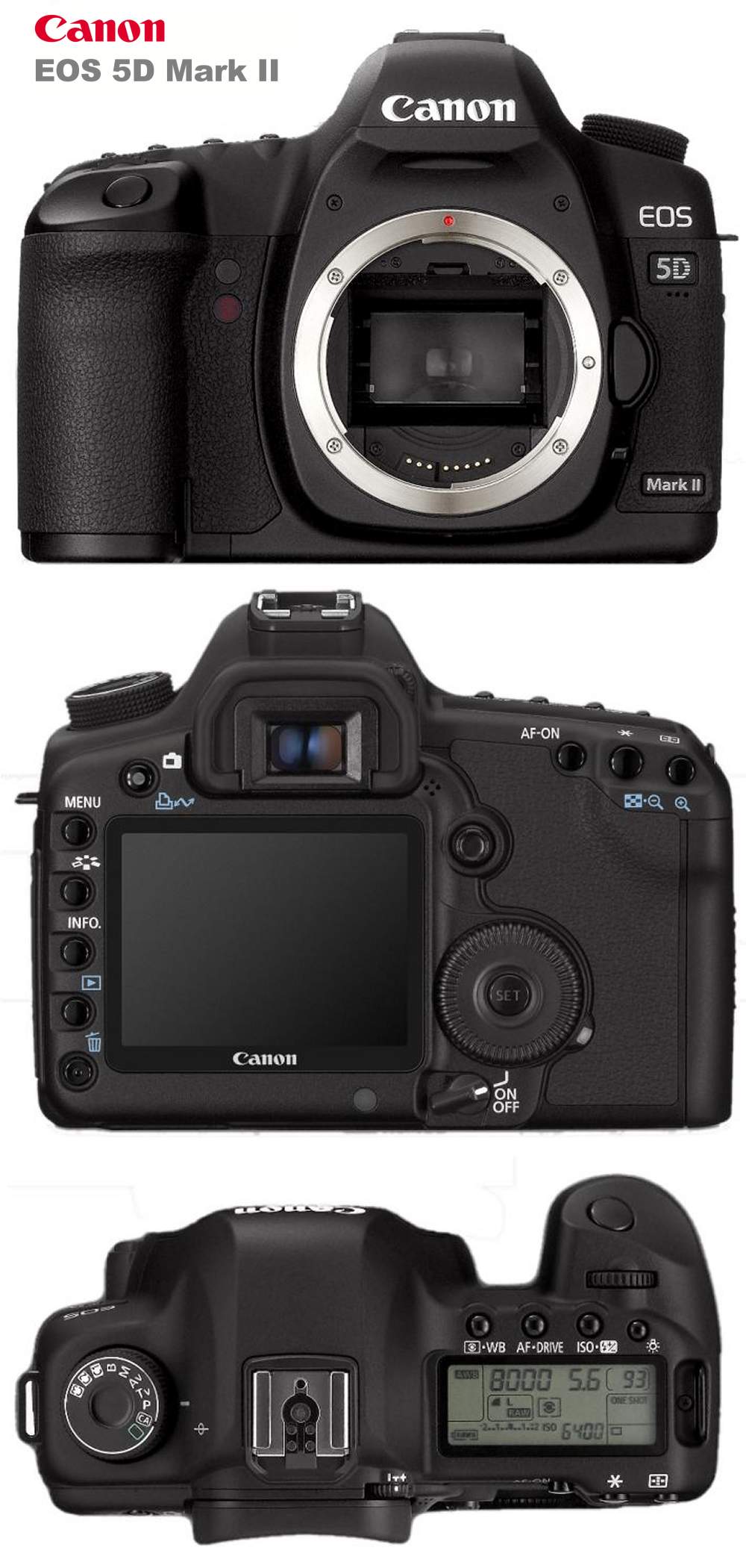 heb vertrouwen stereo Grof CANON EOS 5D Mark II | PERFEKTE VOLLFORMAT SLR FOTOGRAFIE & HD VIDEOS