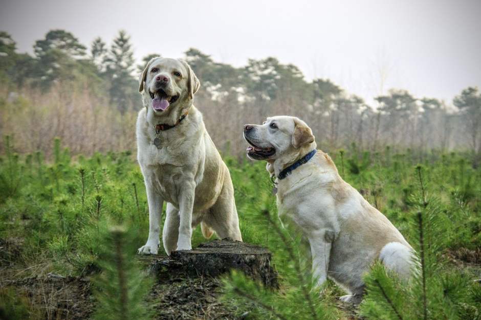 Naturfotografie