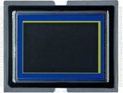 Bild: CANON EOS 1D-X Full-Frame Sensor 